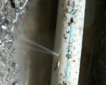 揭阳市卫生间测漏水多少钱 揭阳市卫生间测漏水多少钱