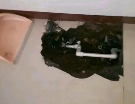 揭阳市卫生间测漏水多少钱